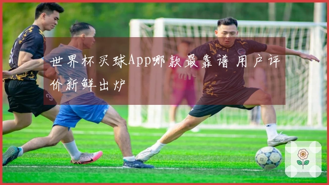 世界杯买球App哪款最靠谱 用户评价新鲜出炉