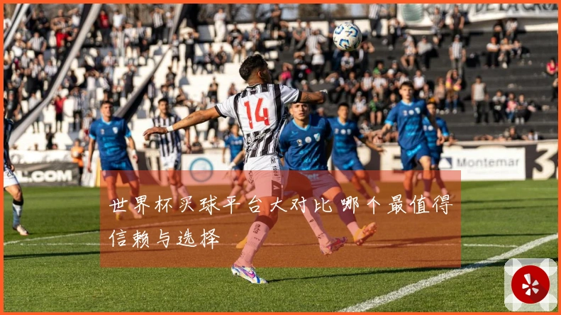 世界杯买球平台大对比 哪个最值得信赖与选择