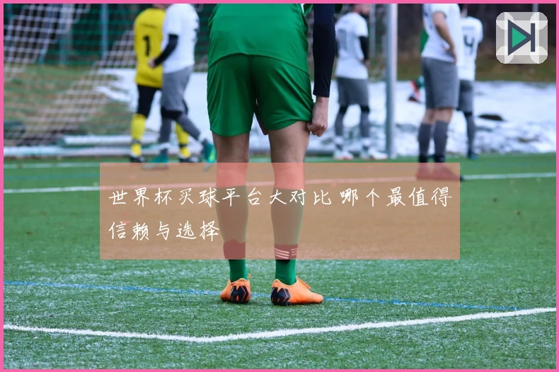 世界杯买球平台大对比 哪个最值得信赖与选择
