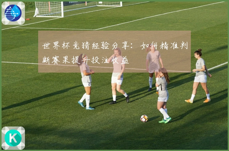 世界杯竞猜经验分享：如何精准判断赛果提升投注收益