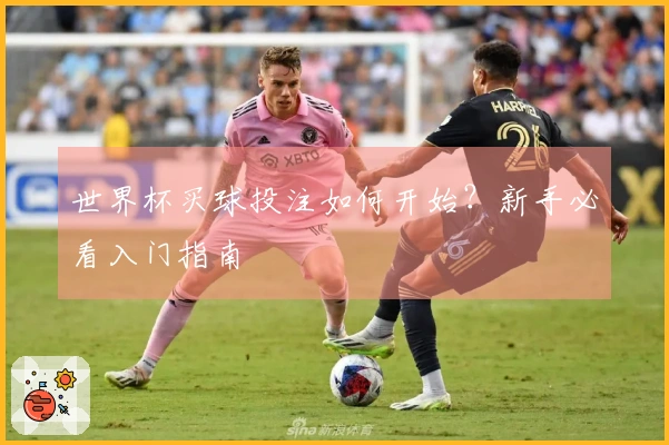 世界杯买球投注如何开始？新手必看入门指南
