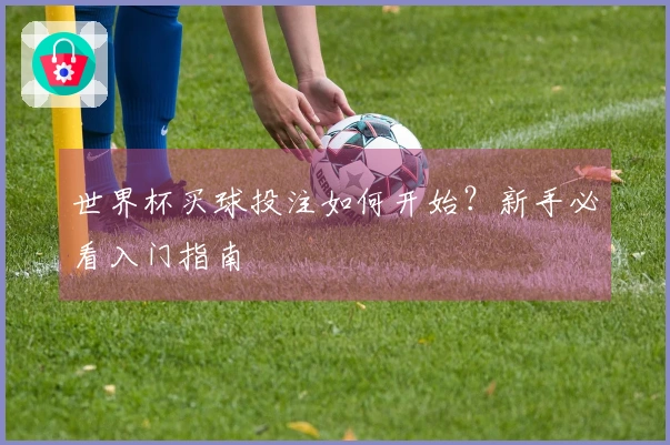 世界杯买球投注如何开始？新手必看入门指南