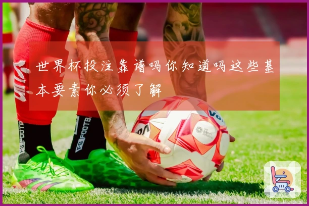世界杯投注靠谱吗你知道吗这些基本要素你必须了解
