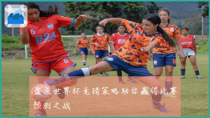 盘点世界杯竞猜策略助你赢得比赛预测之战