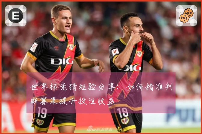 世界杯竞猜经验分享：如何精准判断赛果提升投注收益