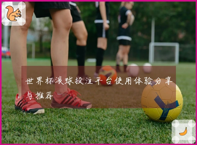 世界杯滚球投注平台使用体验分享与推荐
