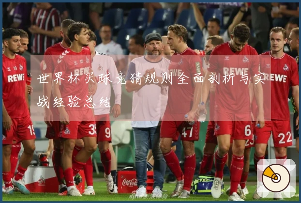 世界杯买球竞猜规则全面剖析与实战经验总结