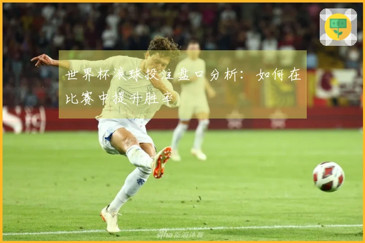世界杯滚球投注盘口分析：如何在比赛中提升胜率