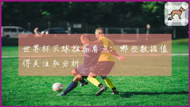 世界杯买球推荐看点：哪些数据值得关注和分析