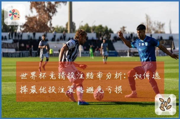 世界杯竞猜投注赔率分析：如何选择最优投注策略避免亏损